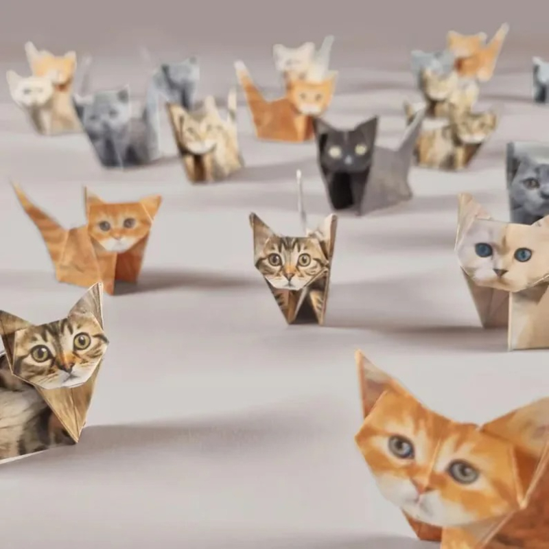 Creatieve DIY Papieren Katten  - Art Craft Cat recensie en prijs