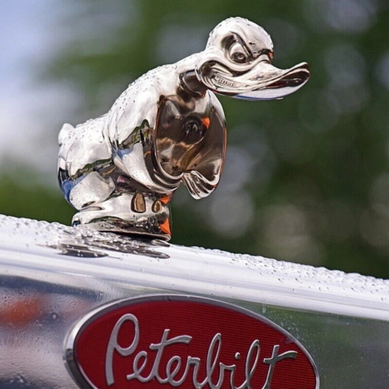 Motorkap Boze Eend Auto Front  - Art Craft Duck recensie en prijs