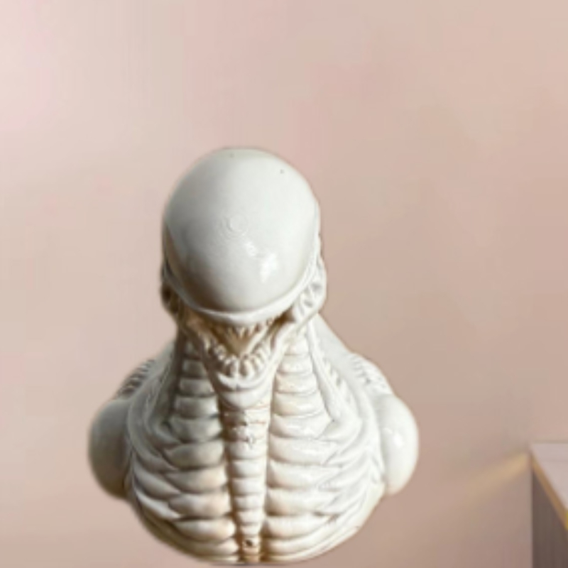 Fantastische en creatieve Alie - Art Craft Duck recensie en prijs