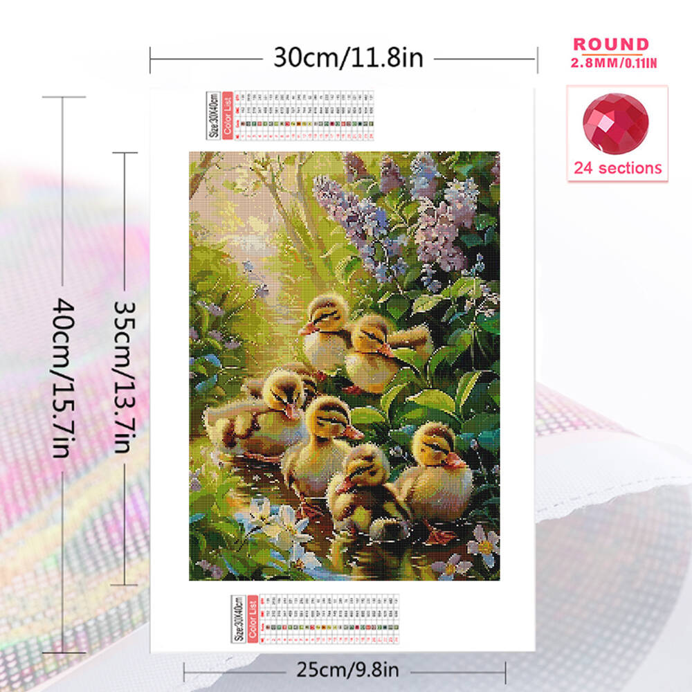 Frameloos, 5D DIY diamantschil - Art Craft Duck recensie en prijs