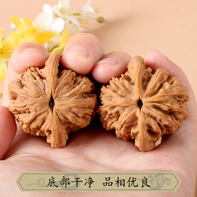 Natuurlijke Wenwan Walnoot Han - Art Craft Lion recensie en prijs