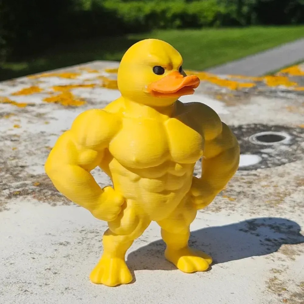 Muscle Duck Standbeeld -3D Des - Art Craft Duck recensie en prijs